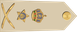 Oman Air Force فريق Fariq insignia