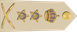 Oman Air Force فريق أول Fariq 'awal insignia