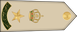 Oman Army مقدم Muqaddam insignia