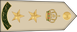 Oman Army عقيد Aqid insignia