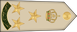 Oman Army عميد Amid insignia