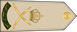 Oman Army لواء Liwa insignia