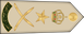 Oman Army فريق Fariq insignia