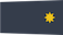 Insignia de Pilot officer