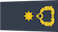 Insignia de Wing commander شارف الجناح