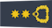 Insignia de Group captain سردار جماعت