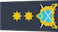 Insignia de Air vice marshal سالار فضائیہ مقابل
