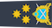 Insignia de Air marshal سالار فضائیہ