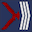 Insignia de Senior Technician