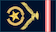 Insignia de Chief Warrant Officer