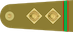 Insignia de Subedar صوبیدار