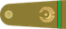 Insignia de Subedar-major صوبیدار میجر