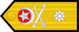 Insignia de Commodore کموڈور