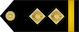 Insignia de Fleet chief petty officer فلیٹ چیف پیٹی آفیسر