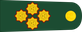 Peru Army General de ejército insignia