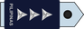 Philippines Air Force Captain insignia