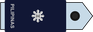 Philippines Air Force Major insignia
