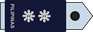 Philippines Air Force Lieutenant colonel insignia