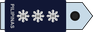 Philippines Air Force Colonel insignia