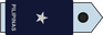 Philippines Air Force Brigadier general insignia
