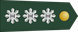 Philippines Army Colonel insignia