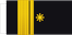 Philippines Navy Rear admiral insignia