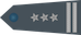 Pułkownik insignia