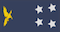 Insignia de General