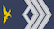 Insignia de Furriel