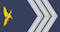 Insignia de Segundo-furriel