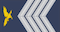 Insignia de Primeiro-sargento