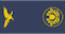 Insignia de Sargento-ajudante