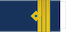Insignia de Căpitan