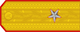 Insignia de General de brigadă