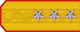 Insignia de General-locotenent