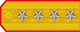 Insignia de General