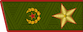 Генера́л а́рмии / Generál ármii insignia