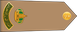 Saudi Arabia Army رائد Ra'id insignia