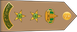 Saudi Arabia Army عقيد Aqid insignia