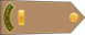 Saudi Arabia Army رئيس رقباء Rayiys ruqaba' insignia