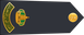 Saudi Arabia National Guard رائد Ra'id insignia
