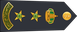 Saudi Arabia National Guard عقيد Aqid insignia