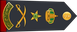 Saudi Arabia National Guard فريق Fariq insignia