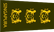 Singapore Army Colonel insignia