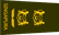 Singapore Navy Senior Lieutenant-Colonel insignia