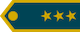 Insignia de Plukovník