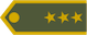 Insignia de Plukovník
