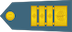 Insignia de Generalpodpolkovnik