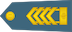 Insignia de Višji štabni praporščak