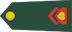 Insignia de Desetnik